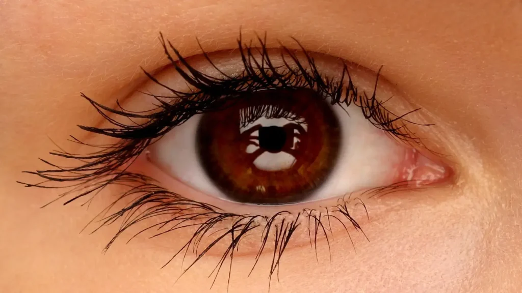 A close-up shot of an individual's eye.