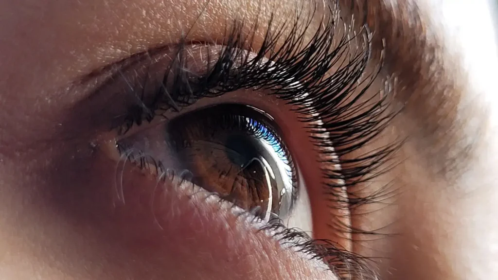 A close-up shot of an individual's eye area with long and full eyelashes.